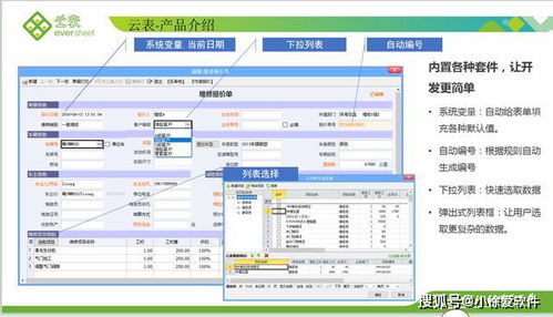 只需三天，0基礎(chǔ)學(xué)會(huì)用表格開發(fā)企業(yè)應(yīng)用軟件